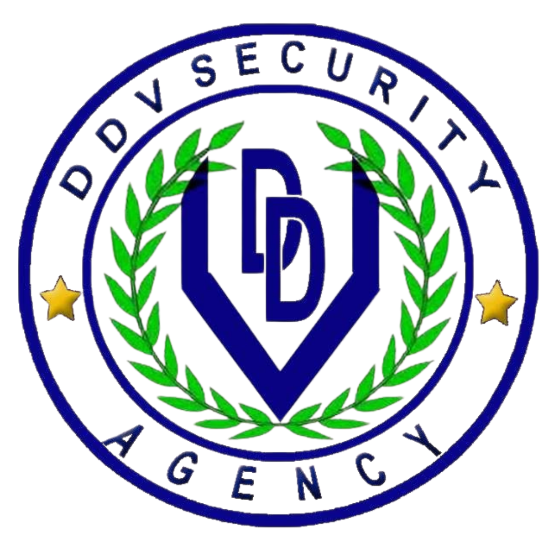 DDV Logo